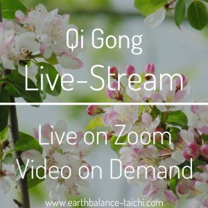 Qi Gong Livestream Zoom Class