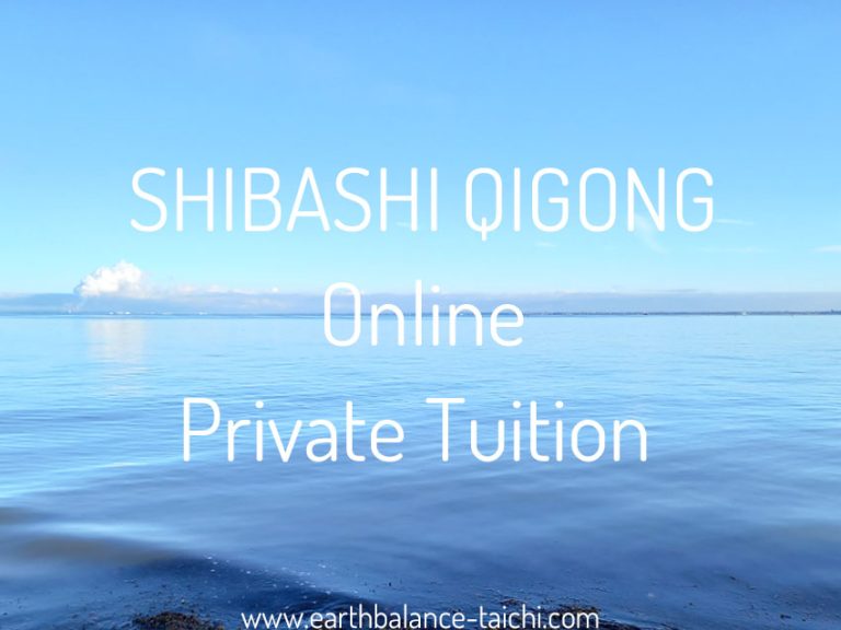 Shibashi Tai Chi Qigong Private Tuition