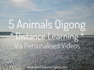 5 Animals Qi Gong Distance Learning