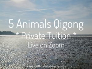 5 Animals Qigong Private Class Zoom