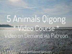 5 Animals Qigong Video on Demand