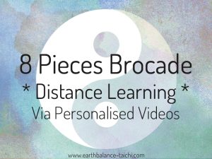 Ba Duan Jin Distance Learning via Video