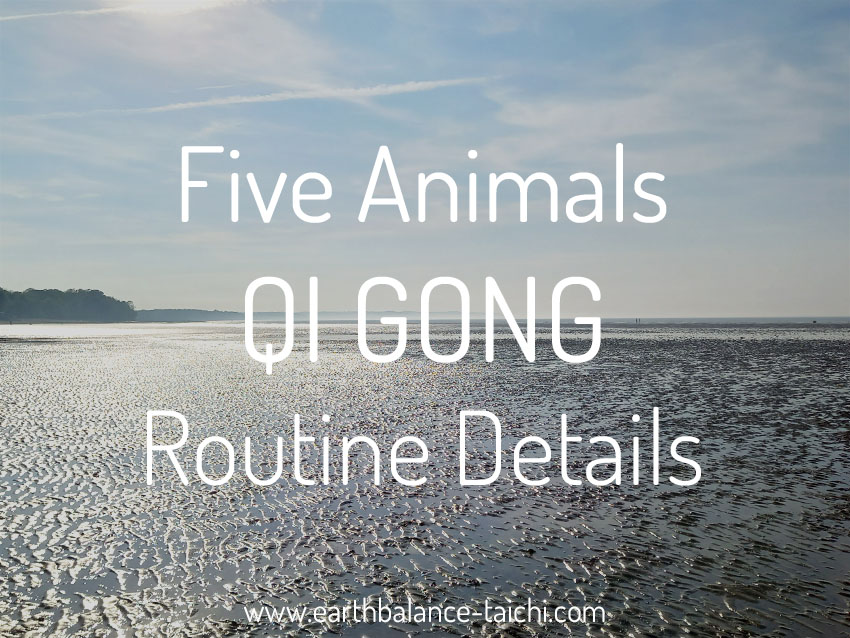 Five Animals Qi Gong Routine Details