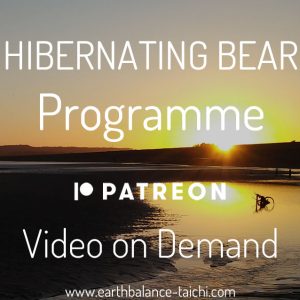 Hibernating Bear Patreon Classes