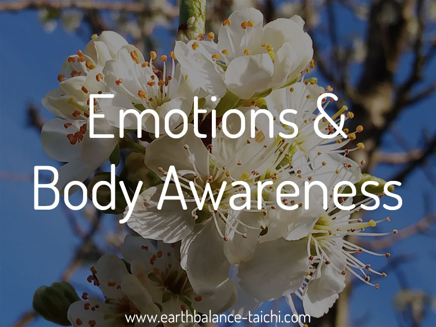 Emotions and Body Awareness