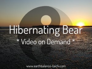 Hibernating Bear Video on Demand Classes