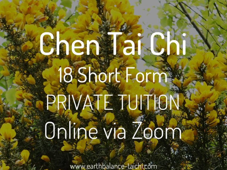 Chen Tai Chi 18 Form 121