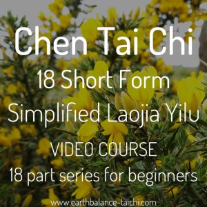 Chen Tai Chi 18 Form Videos