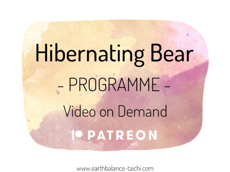 Hibernating Bear Video Classes