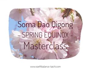 Spring Equinox Qigong on Zoom