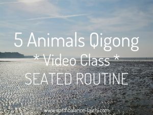 5 Animals Qigong Video Class Chair Based