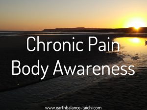 Hibernating Bear Body Awareness