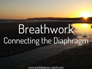 Hibernating Bear Breathwork Connecting the Diaphragm