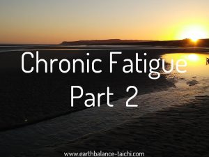 Hibernating Bear Chronic Fatigue 2