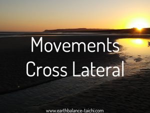 Hibernating Bear Cross Lateral Movements