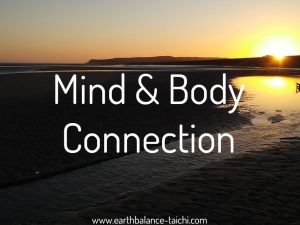 Hibernating Bear Mind Body Connection
