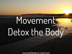 Hibernating Bear Movement Detox the Body