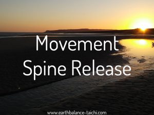 Hibernating Bear Movement Spine Release