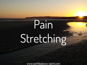 Hibernating Bear Pain and Stretching