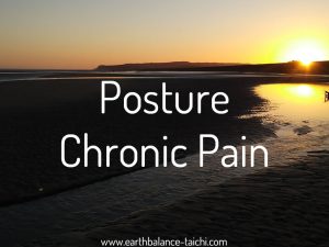 Hibernating Bear Posture & Pain