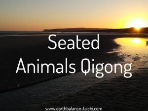 Hibernating Bear Seated Animals Qigong