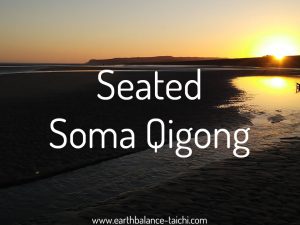 Hibernating Bear Seated Soma Qigong