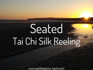 Hibernating Bear Seated Tai Chi Silk Reeling