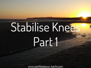 Hibernating Bear Stabilise Knees Part 1