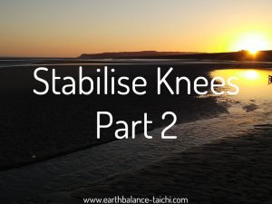 Hibernating Bear Stabilise Knees Part 2