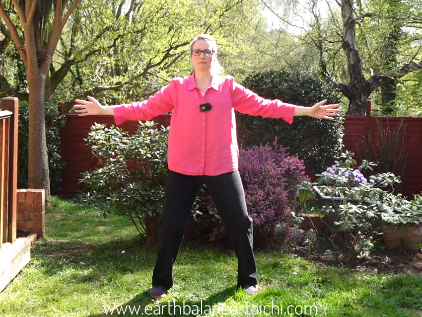 The Five Stems of Qigong Practice