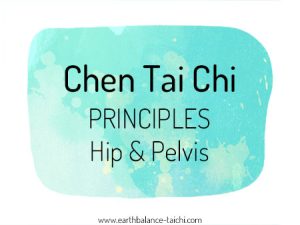 Tai Chi Hip and Pelvis Alignment