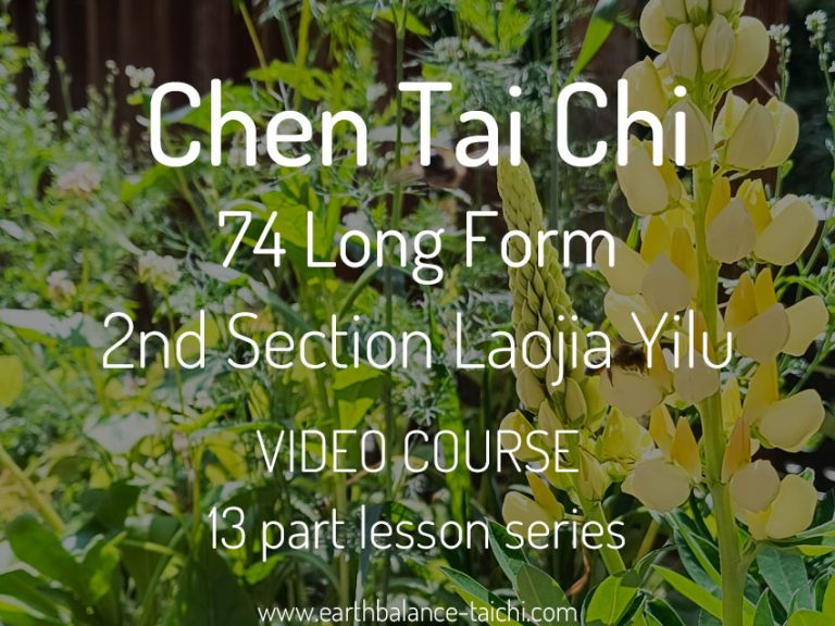 Chen Taiji 74 Form Course