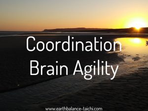 Hibernating Bear Brain Agility