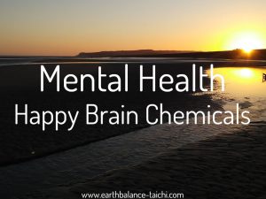 Hibernating Bear Happy Brain Chemicals