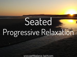 Hibernating Bear Seated Progressive Relaxation