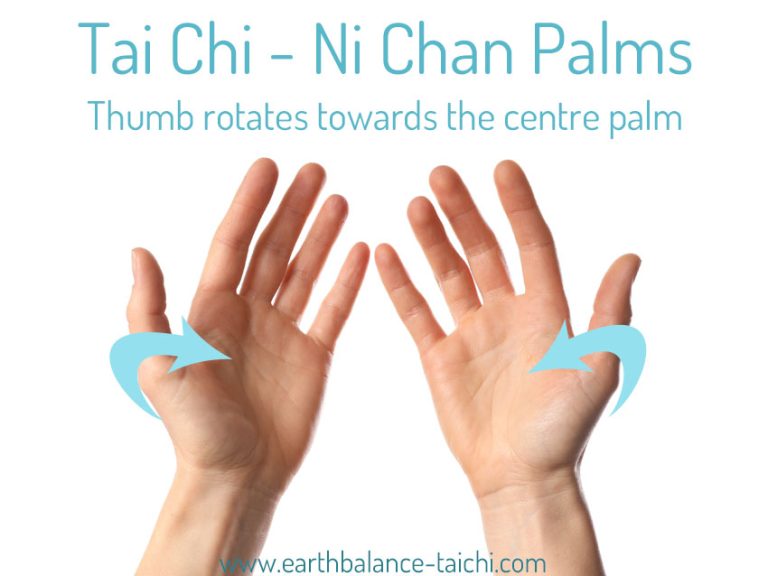 Tai Chi Spirals Ni Chan