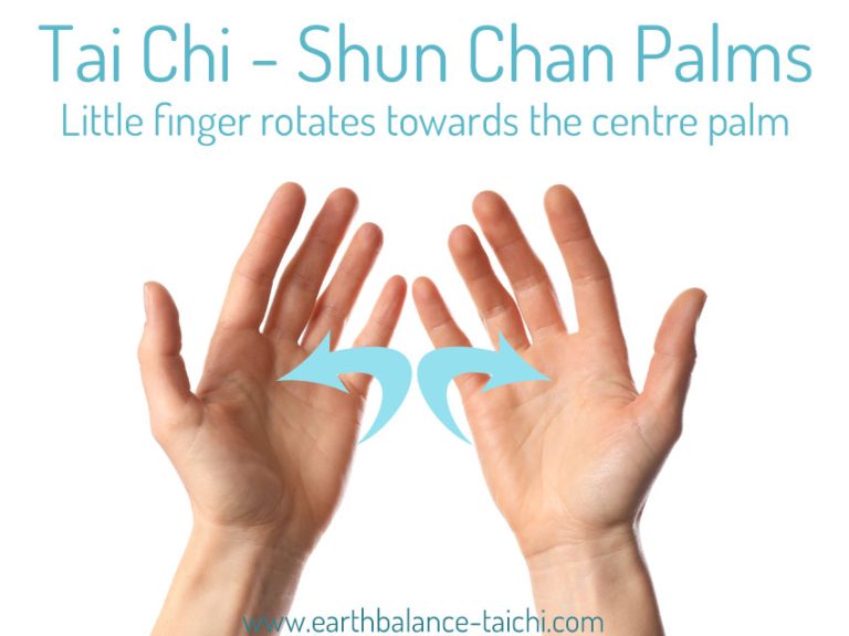 Tai Chi Spirals Shun Chan