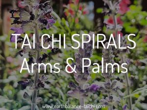 Tai Chi Spirals Arms and Palms