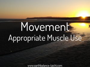 Appropriate Muscle Use