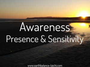 Hibernating Bear Body Awareness