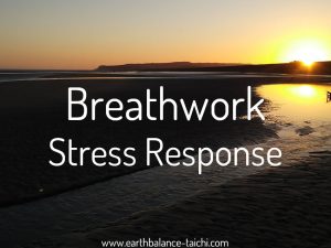 Hibernating Bear Breathwork Stress Response