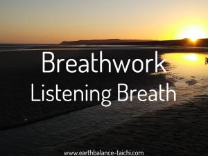 Hibernating Bear Listening Breathing