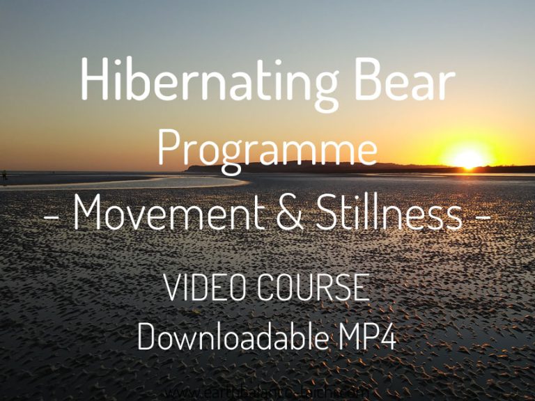 Hibernating Bear MP4 Video Course
