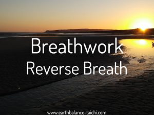 Hibernating Bear Reverse Breathing