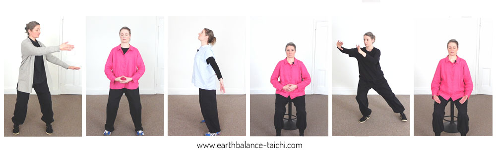 Hibernating Bear Video Programme