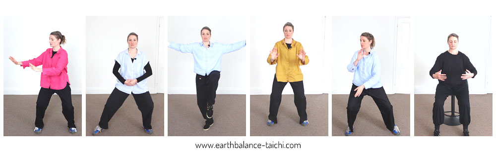 Hibernating Bear Video Programme