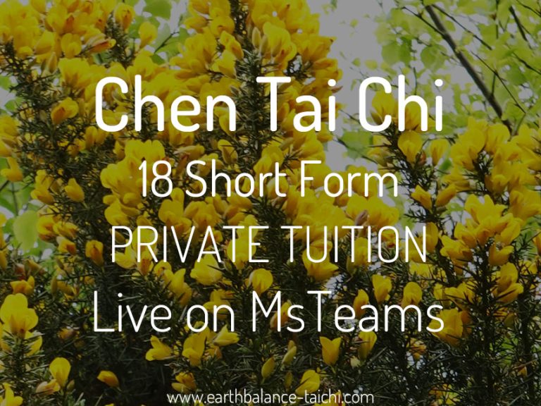 Chen Tai Chi 18 Form MsTeams