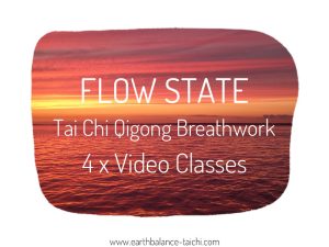 Tai Chi Qigong Flow State