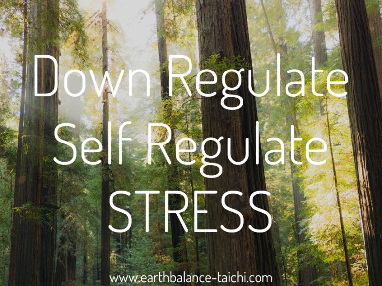 Down Regulation and Self Regulation of Stress