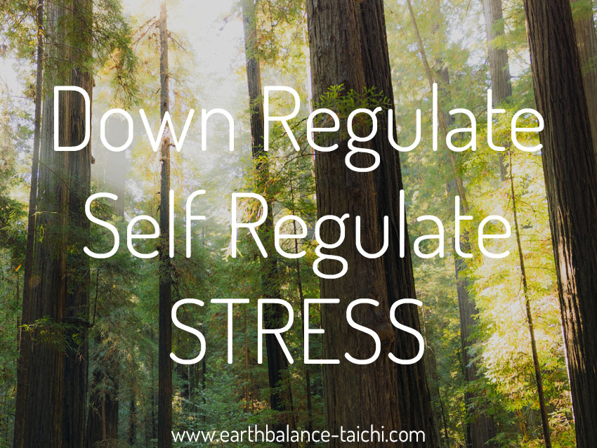 Down Regulation and Self Regulation of Stress